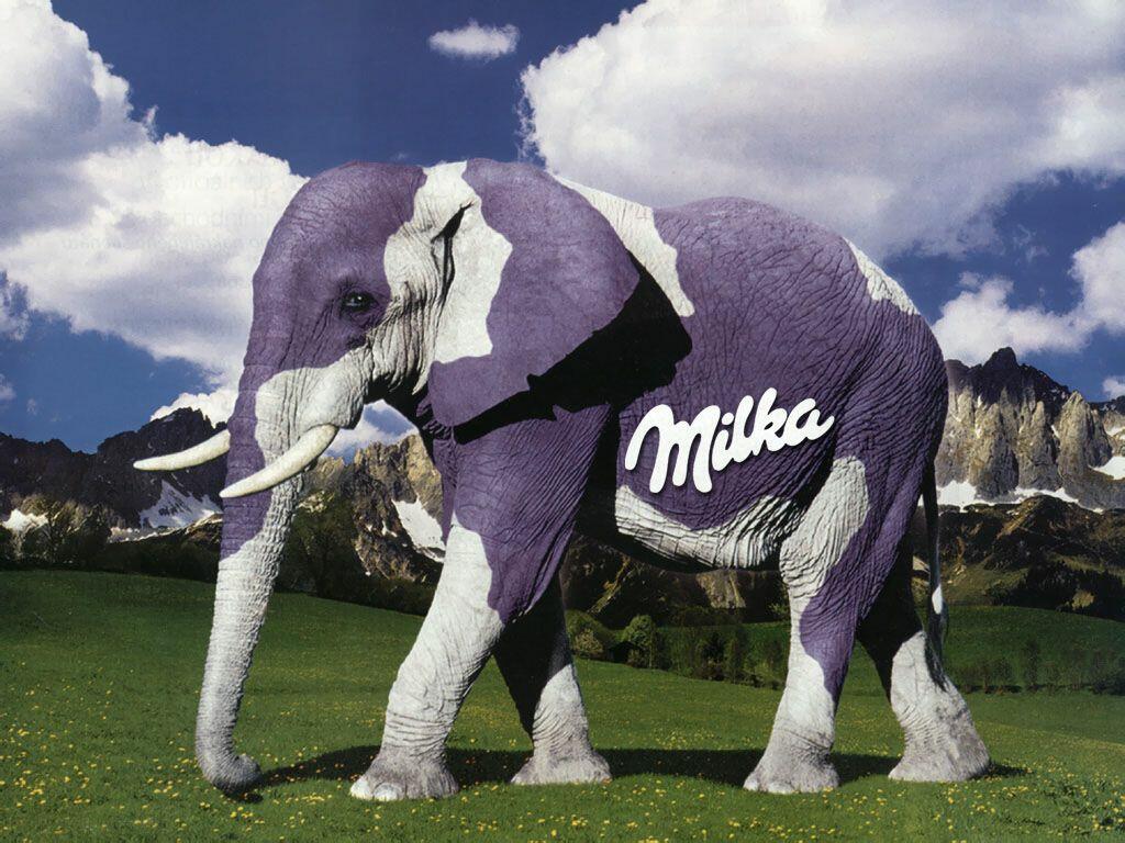 s1_milka-elefante.jpg