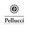 Аватар pellucci