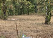 Община Ботевград пое грижата за парка на Техническия колеж – започна почистването
