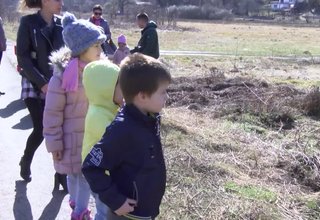 В края на зимата в Жабешкото блато край Ботевград се извършва уникално природно явление. Най-дългата миграция на планинската жаба Скрийншот