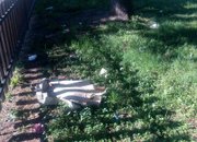 ОБЩИНА ЕТРОПОЛЕ ОТБЕЛЯЗА СЕДМИЦАТА НА ГОРАТА И ДЕНЯ НА ЗЕМЯТА СЪС ЗАЛЕСИТЕЛНА АКЦИЯ