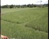 Скрийншот
