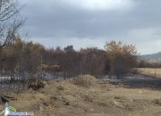Пожарът, който обгази Ботевград, е ликвидиран. Подозират умишлен палеж