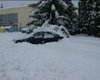 Скрийншот