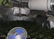 Оборудвана наркооранжерия е разкрита при съвместна операция на служители на ОДМВР - София и Агенция „Митници“