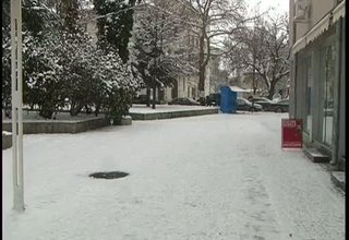 17 бебета са родени през 2009 година в чужбина Скрийншот