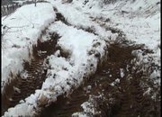 Жители на Зелин протестират срещу сеч в гората