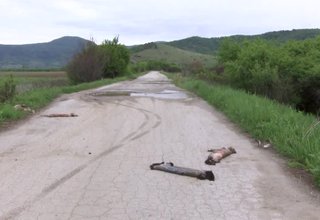 Животински кожи и вътрешности изхвърлени край междуселски път Скрийншот