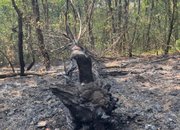 Благодарение на бързата намеса на доброволци е овладян пожарът в землището на Липница