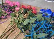 Масово участие на ботевградски ученици в Националния литературен конкурс “Стамен Панчев“ тази година