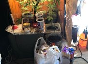 Домашна наркооранжерия  в Ботевград