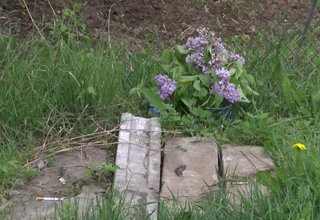 Специализирана полицейска акция в Литакво срещу битовата престъпност Скрийншот