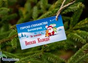 Живи елхи на цена 24 и 36 лева продават в Горското
