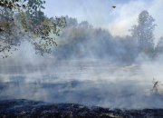 Пожар избухна в Новачене, огънят стигна до къщитe