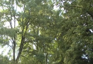 Софийска фирма дължи на общината над 130 хиляди лева данъци Скрийншот