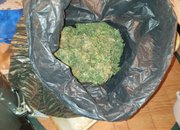 Оборудвана наркооранжерия е разкрита при съвместна операция на служители на ОДМВР - София и Агенция „Митници“