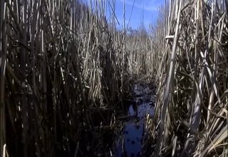 Скрийншот