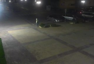 Скрийншот