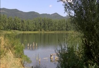 Скрийншот
