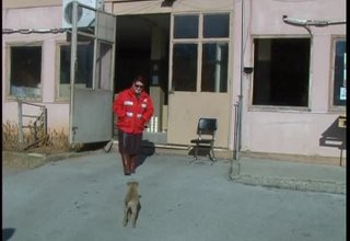 Скрийншот
