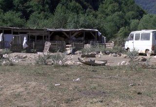 От днес започва изплащането на обезщетения на стопаните, които са умъртвили животните си заради африканската чума по свинете Скрийншот