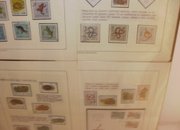 Момчил Пенев представя своя филателен експонат „Еволюция на гръбначните животните”
