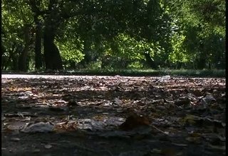 Тази година есента идва със слънчеви и топли дни Скрийншот