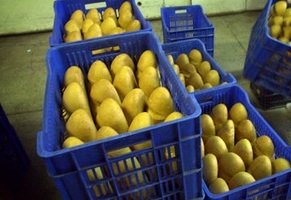 Местните производители повишиха цената на хляба с 0.10 лв.