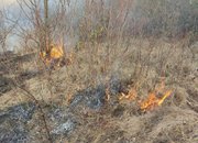 Отново пожар в землището на Новачене