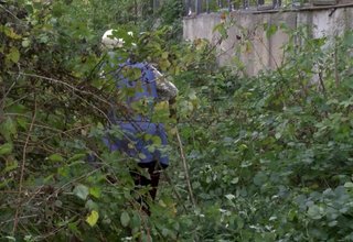 Възрастна жена от Литаково не може да ползва имота си, защото пътят към него е затрупан с боклуци Скрийншот