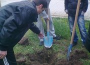 Ученици засадиха дървета по повод Деня на Земята