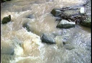 Дърводелски фирми секат в санитарните зони на речните водохващания в Трудовец и Врачеш Скрийншот