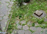 Невиждана градушка удари и  Ботевград