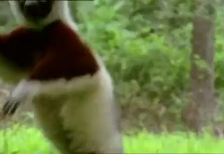 Коли 3 Скрийншот