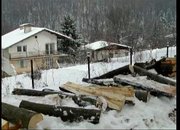 Жители на Зелин протестират срещу сеч в гората