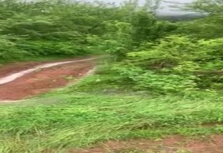 Вода се стича от гората над гробищния парк във Врачеш Скрийншот