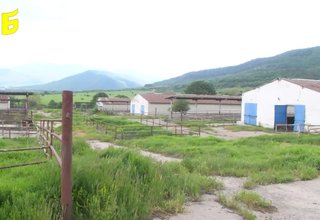 Скрийншот