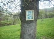 Утре е храмовият празник в Рибарица