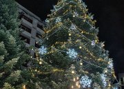 Тържествено запалиха светлините на коледна елха в центъра на Ботевград
