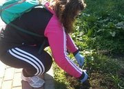 ОБЩИНА ЕТРОПОЛЕ ОТБЕЛЯЗА СЕДМИЦАТА НА ГОРАТА И ДЕНЯ НА ЗЕМЯТА СЪС ЗАЛЕСИТЕЛНА АКЦИЯ