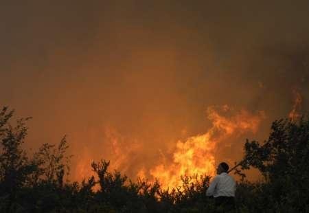 Мерки за намаляване на горските пожари в България   