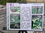 Изложба представя културно-историческите обекти в района на село Липница 