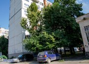 Продължават наглите набези над липите в Ботевград