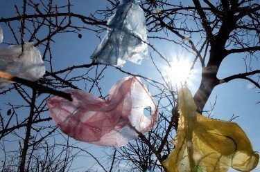 Още по-скъпи найлонови торбички от 1 октомври