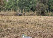 Община Ботевград пое грижата за парка на Техническия колеж – започна почистването