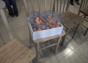 Среща на поколенията пред празниците