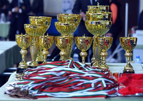 Високи отличия от Държавното първенство по таекуон-до ИТФ