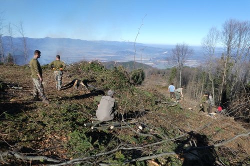 Горските площи, унищожени при миналогодишния пожар в м. Стубеля, ще бъдат залесени