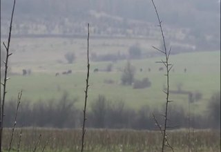 Общинският съвет одобри актуални пазарни цени при отдаване под наем на земеделски земи Скрийншот