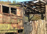 Потресаваща картина